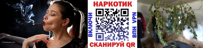 Где купить наркоту Сальск КОКАИН  Бошки Шишки  Меф  А ПВП  Амфетамин  ГАШИШ 