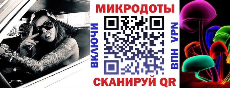 Псилоцибиновые грибы Psilocybine cubensis Сальск