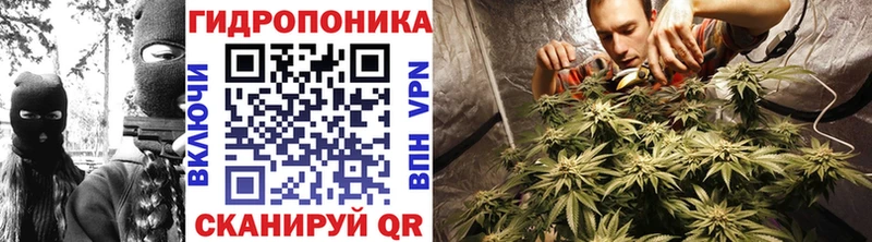 кракен как зайти  Сальск  Каннабис AK-47 